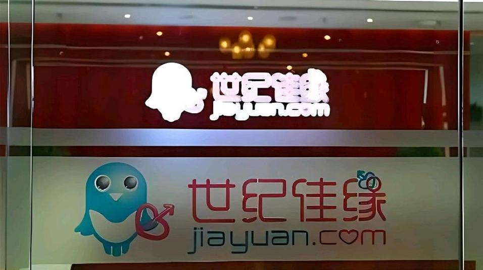 世纪佳缘网，中国在线婚恋平台的探索与反思插图