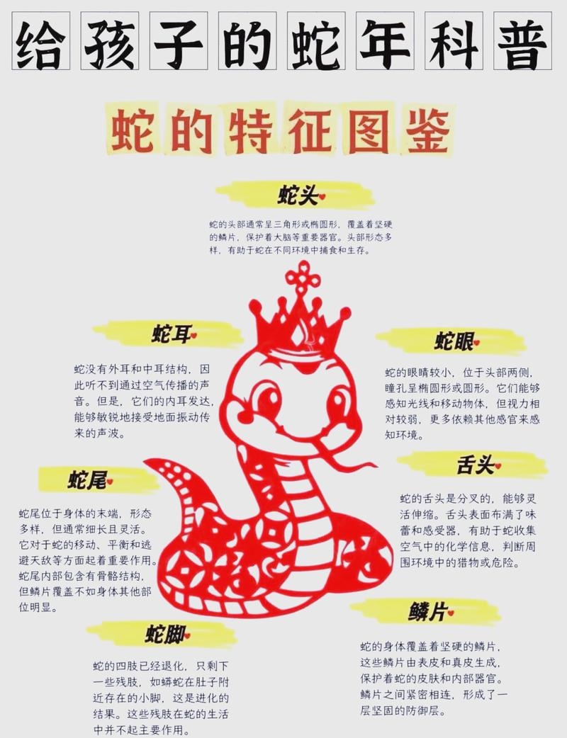 生肖蛇，胆大心细的智慧之选插图