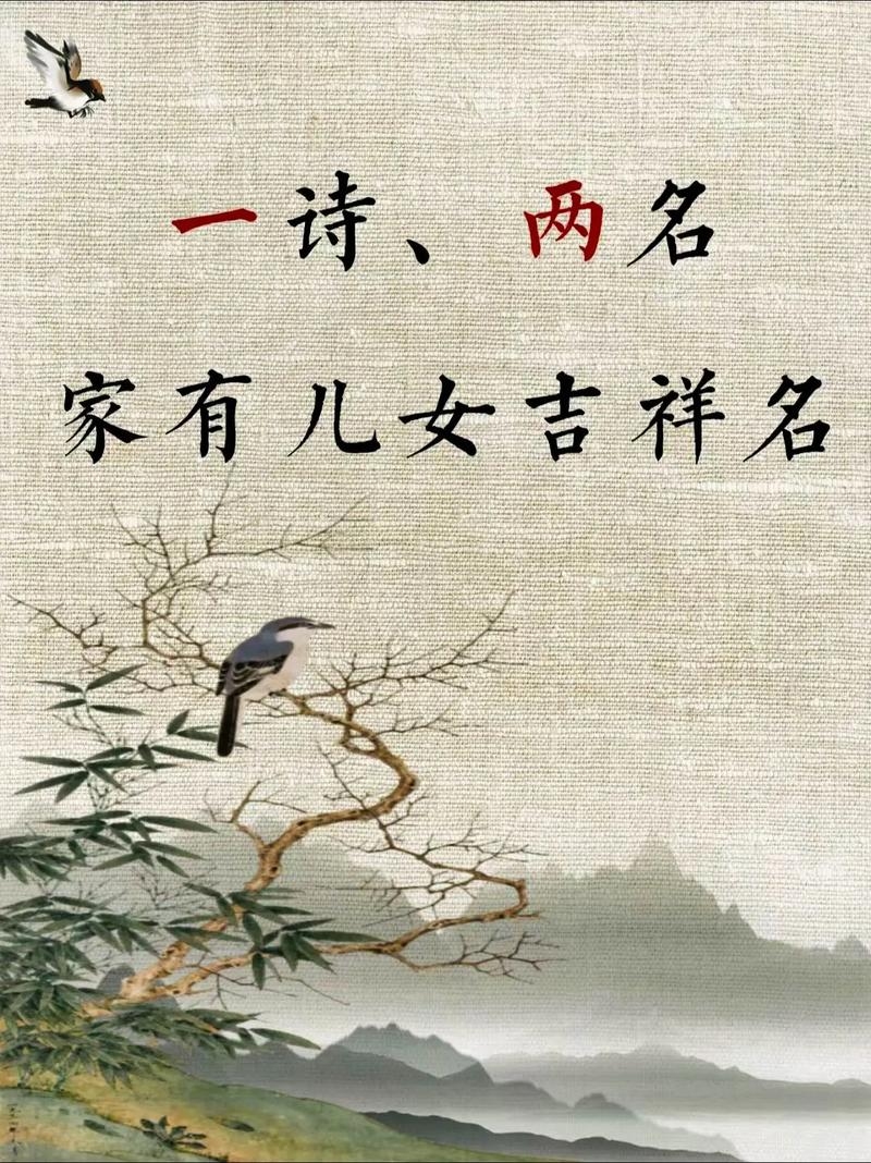 双胞胎姐妹，共舞人生的旋律——起名艺术与寓意插图