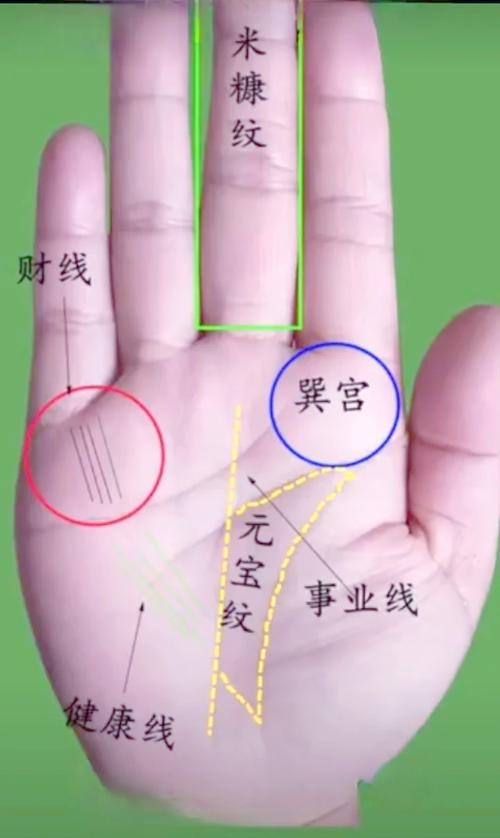 手相揭秘，钱财纹与幸福线，女性财富婚姻的双重保障？插图