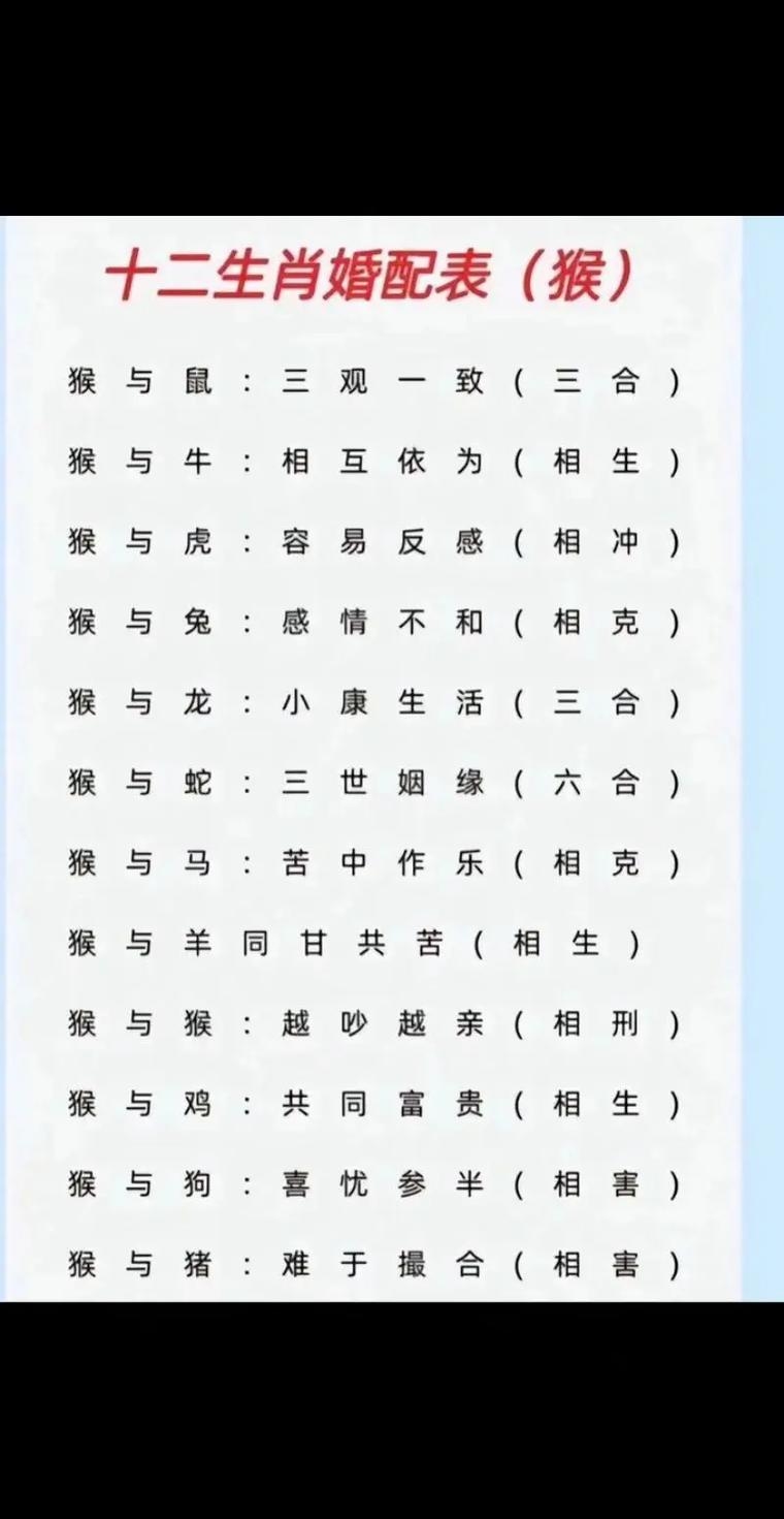 生肖鼠猴配对有何妙处？插图