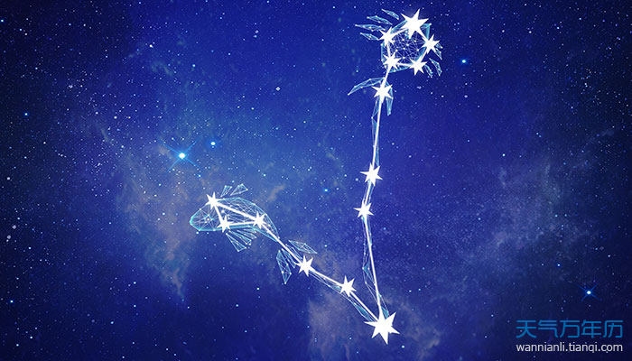 双鱼男与水瓶女，两种截然不同的人生轨迹插图