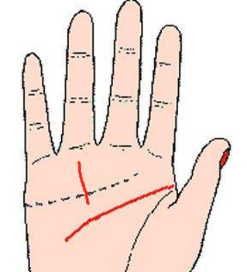 手相与八字预测，科学性与准确性探讨插图