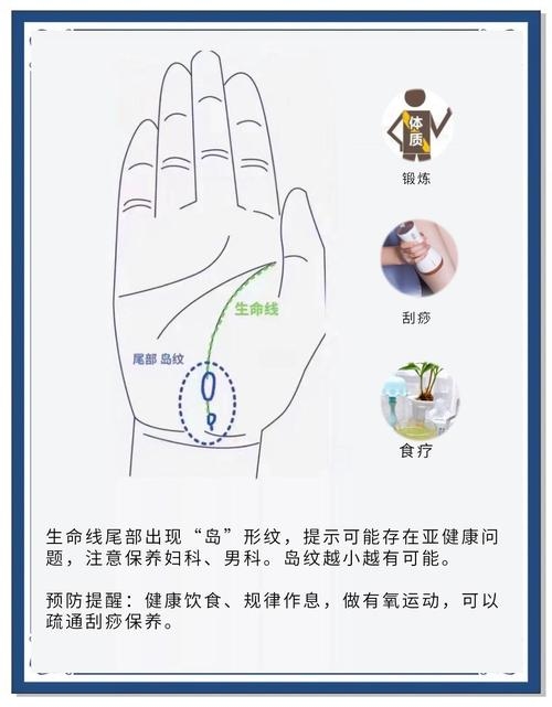手纹与健康，探寻生命密码中的健康密码插图