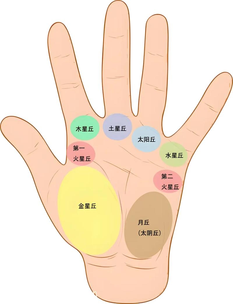 手纹与健康，古老智慧与现代医学的交汇插图