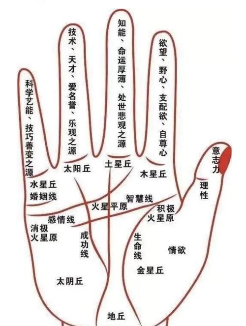 手相中的成功线，解读命运与努力的交汇点插图