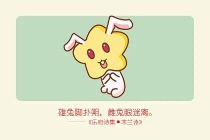 三寸之舌话生肖，揭秘属兔者的口才魅力插图