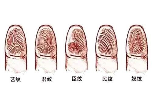 手指螺纹，精致生活中的细腻肌理插图