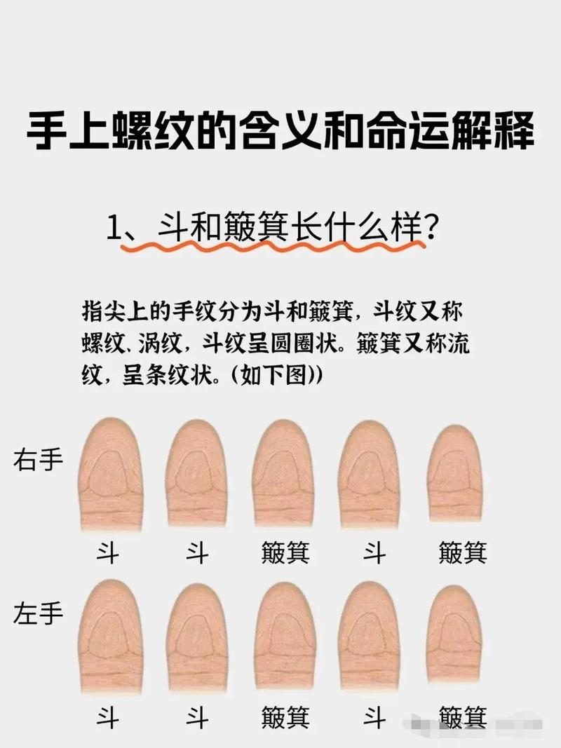 手指螺纹,寓意与迷信的交织插图 手指螺纹,寓意与迷信的交织插图