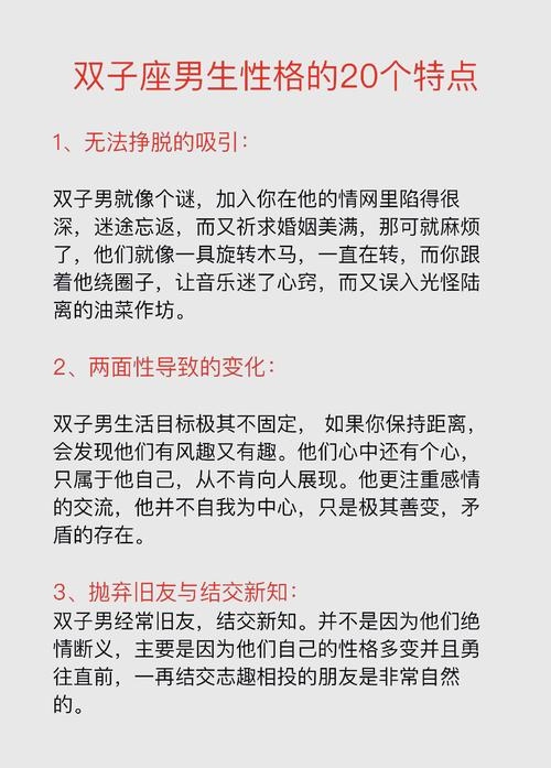 双子座男人的双面魅力,理性与感性的交织插图 双子座男人的双面魅力,理性与感性的交织插图