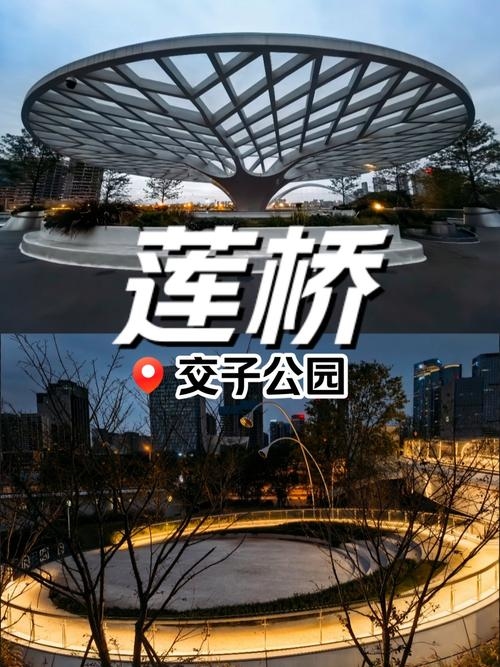 同城交友论坛，连接城市心跳的桥梁插图