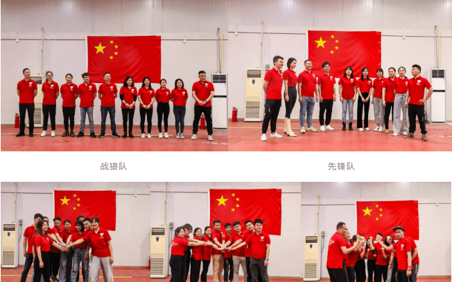 团队名字，凝聚智慧，共创辉煌的集体力量插图