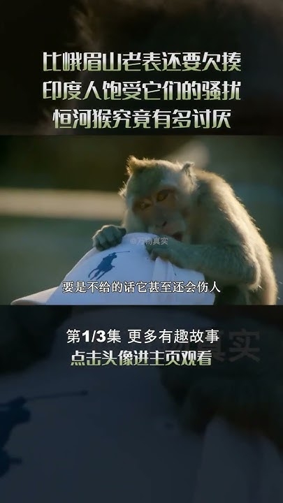 天翻地覆打一生肖，答案非猴莫属插图