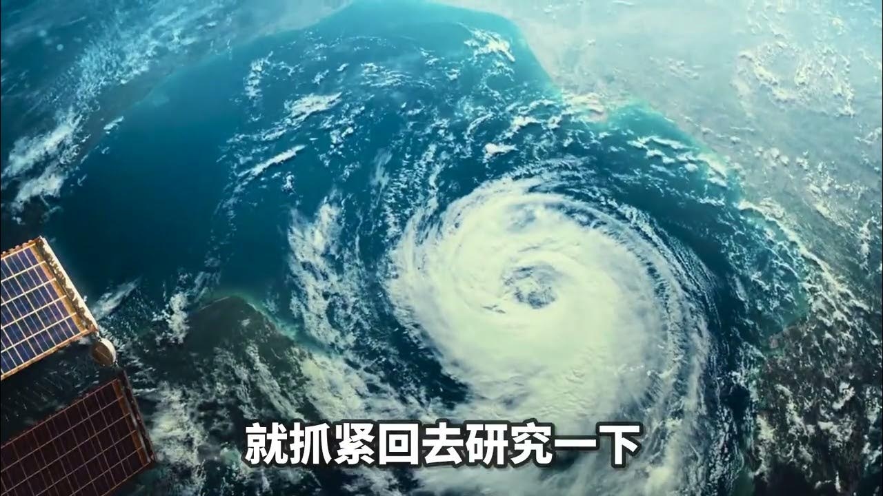 台风名字，一场自然的情感盛宴插图