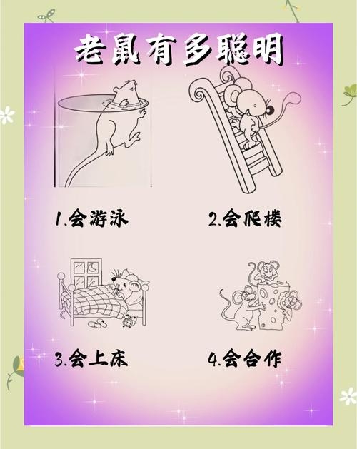 徒劳无功的生肖，鼠的寓言与启示插图