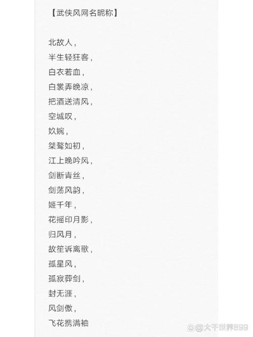 天龙网名，江湖中的独特印记插图