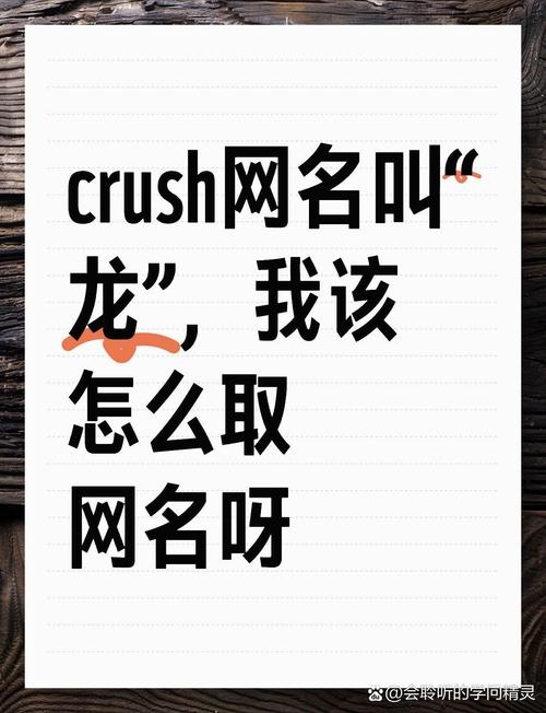 天龙网名，探索虚拟与现实的交汇点插图