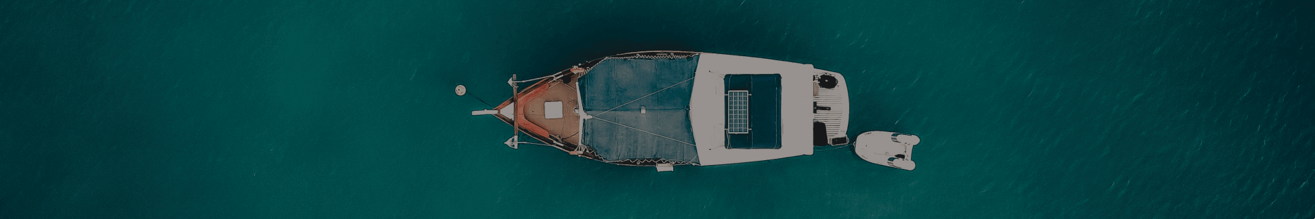 同名查询，在信息洪流中寻找独一无二的你插图