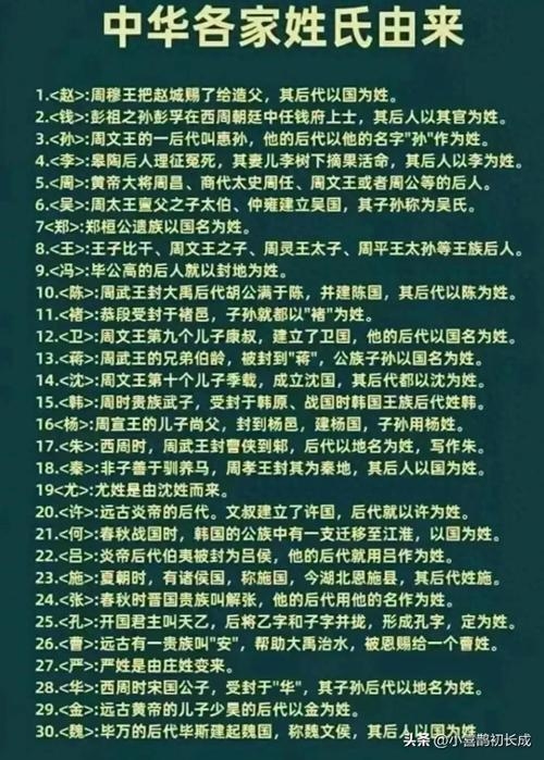 同名同姓网，探索姓名背后的奇妙世界插图