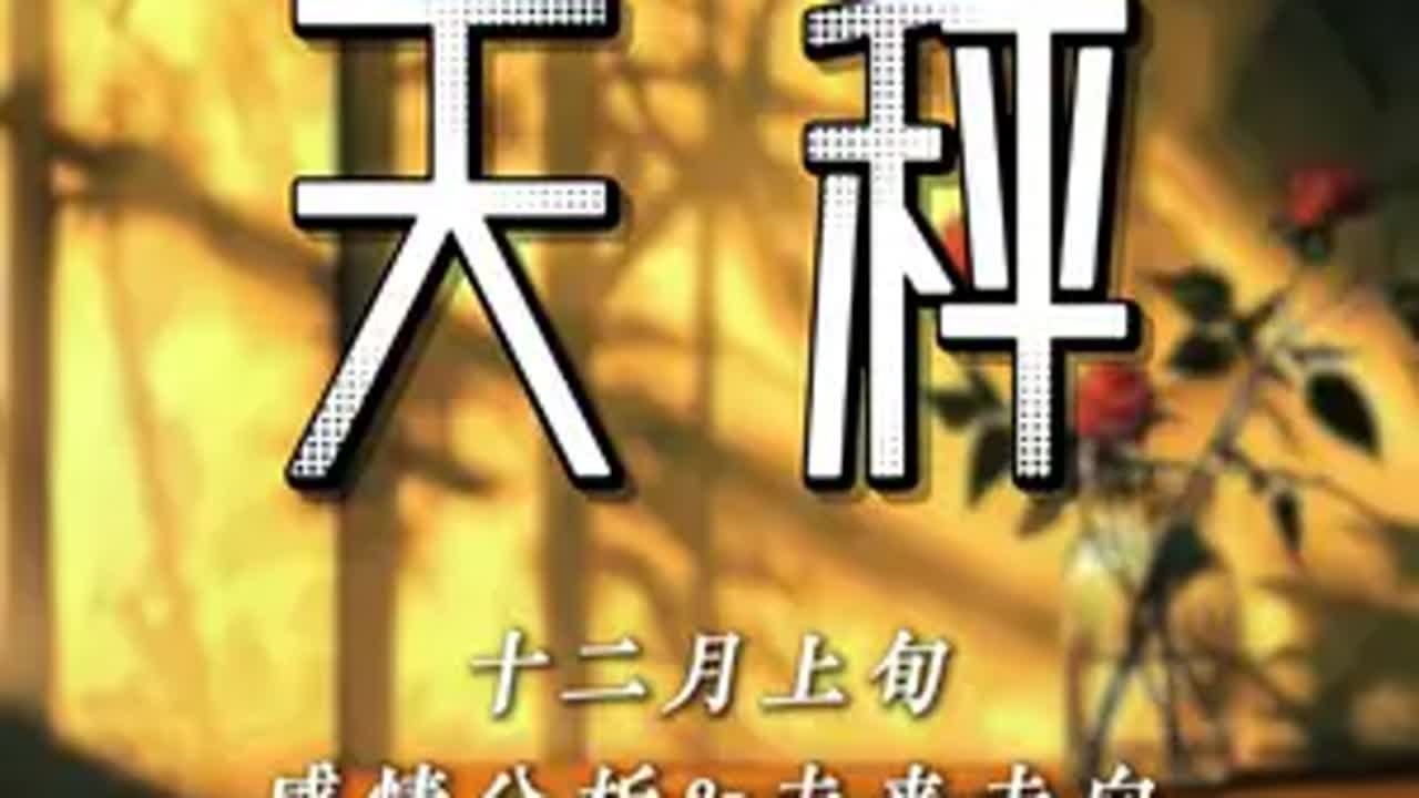 天平座今日运程，精准掌舵，自在明生插图