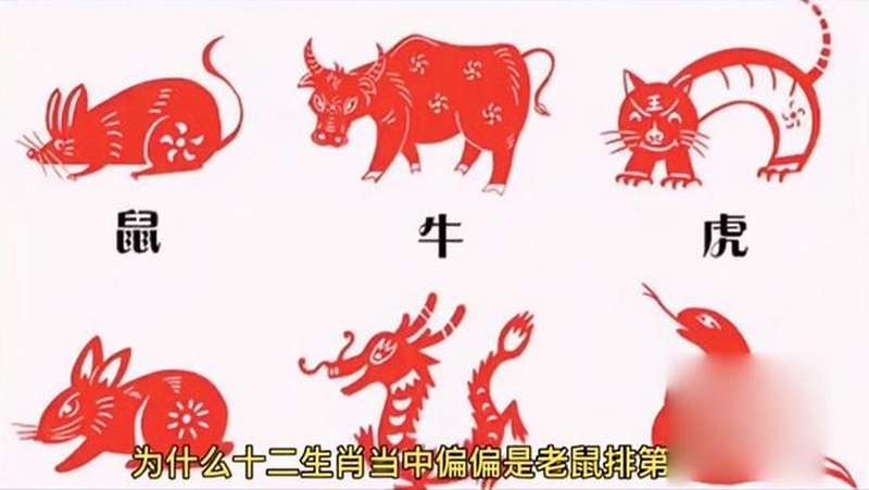 头破血流打一生肖，答案多为猪插图