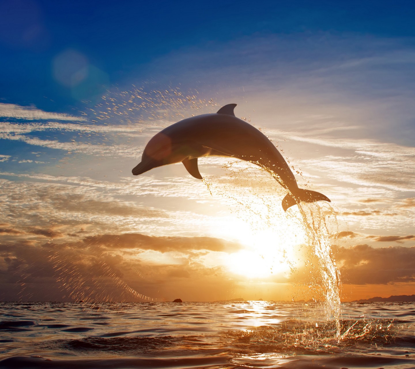 跳水梦，追求目标与内心平静的积极暗示插图