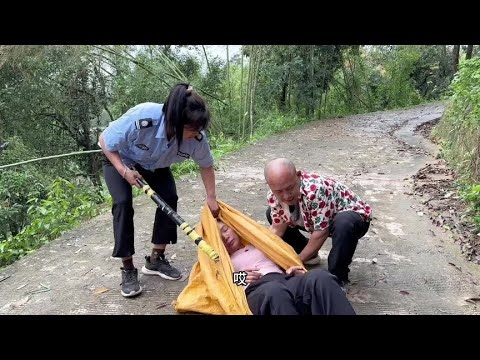 天网恢恢非生肖，正义必至无遗漏插图