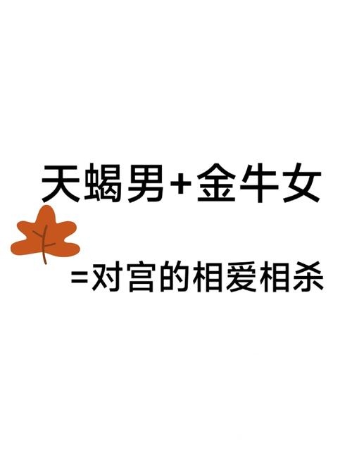 天蝎女与金牛男，默契相吸，共筑情感纽带插图