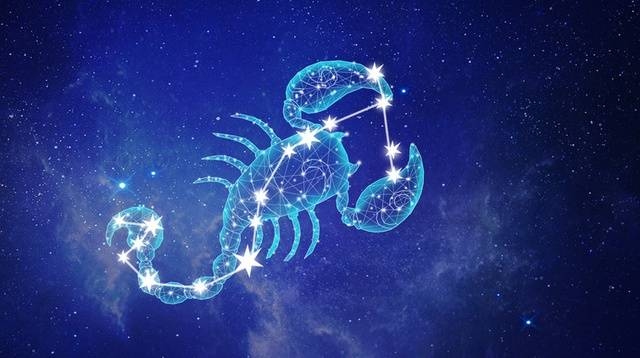 天蝎，神秘而独特的生物探索插图