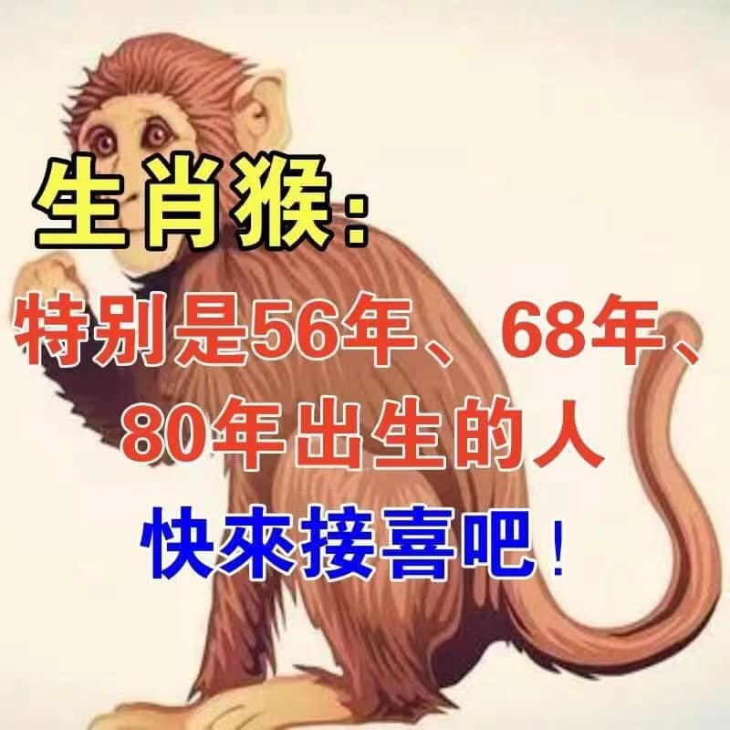 五百年前一家人指的是生肖猴插图