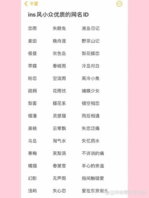 网红名字推荐及靠谱性插图