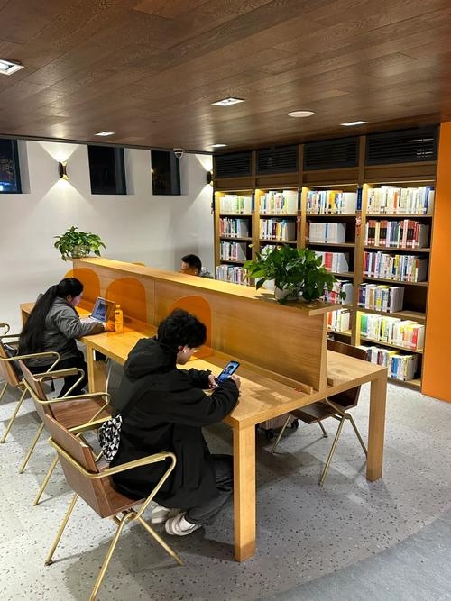 武汉同志聊天室，城市中的温暖交流空间插图