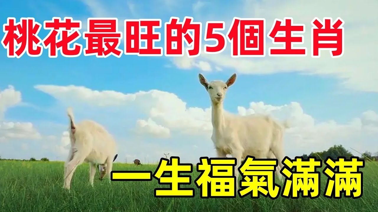 五行俱全，一汪生机，五花八门与生肖的奇妙联结插图