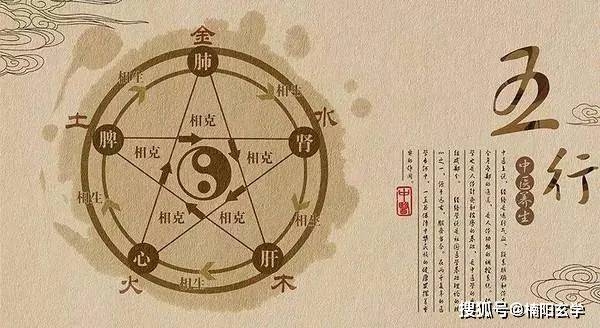 五行相生、克有克制，动态平衡调生态插图