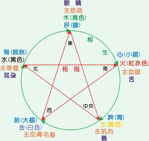 五行相生,平衡共生,万物和谐生长插图 五行相生,平衡共生,万物和谐生长插图