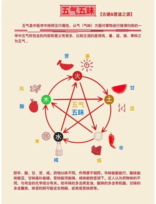 五行养生，精准测八字，科学调养健康插图