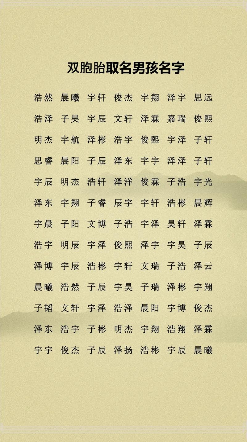 为双胞胎起名的艺术，独特而富有意义的双胞胎名字插图