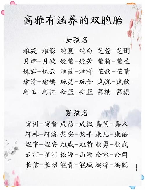 为双胞胎女孩起名的艺术，创意与寓意的完美结合插图