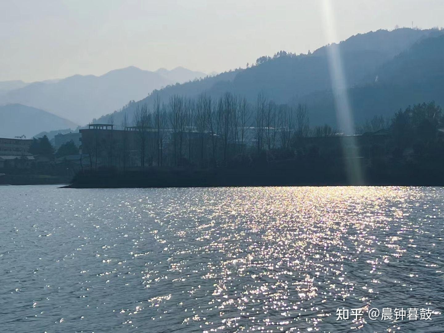 网络情感，虚拟世界的真实纽带插图