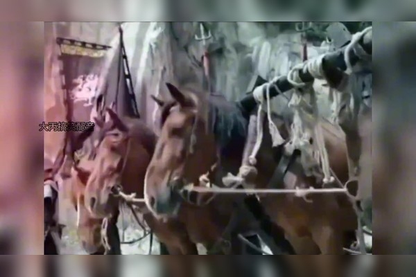 文恬武嬉，马，象征国家安危与力量之兽插图