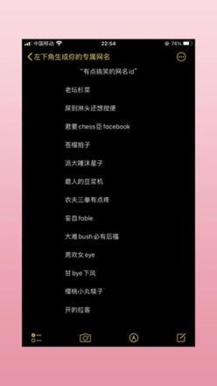 网络昵称新境界，最贱的网名背后的文化解读插图