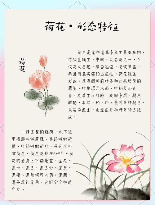 文雅之韵，探寻文雅的深层含义与影响插图