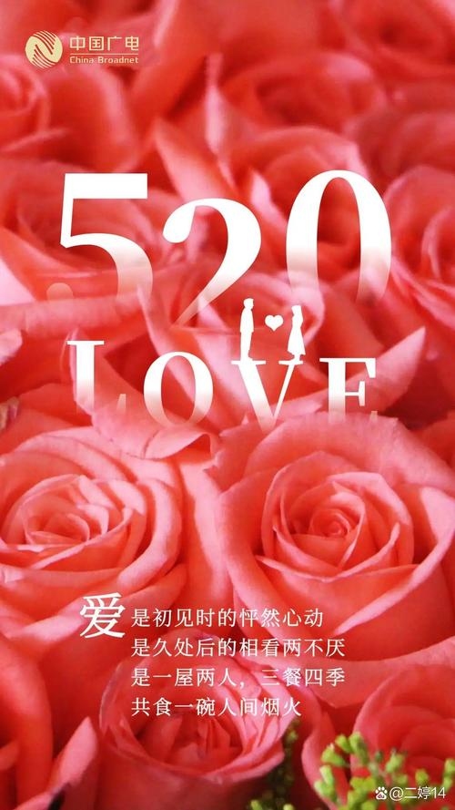 五月二十号，爱的告白日插图