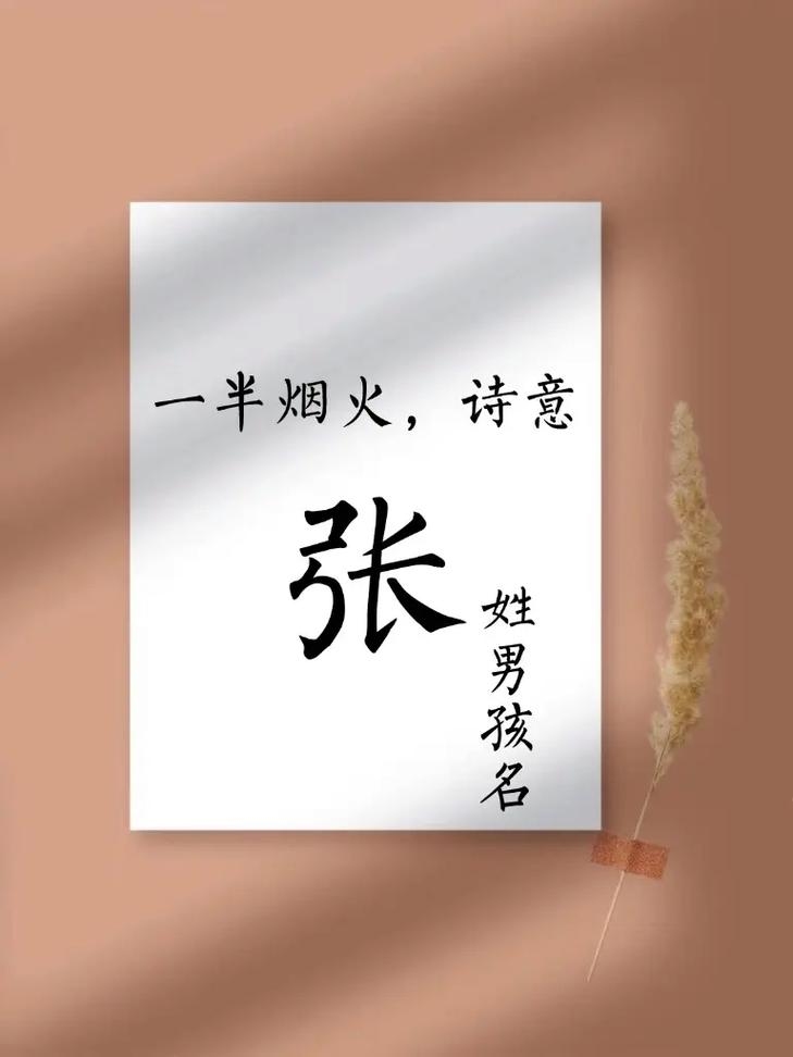 为张姓牛宝宝精心取名，传统与创新的融合插图