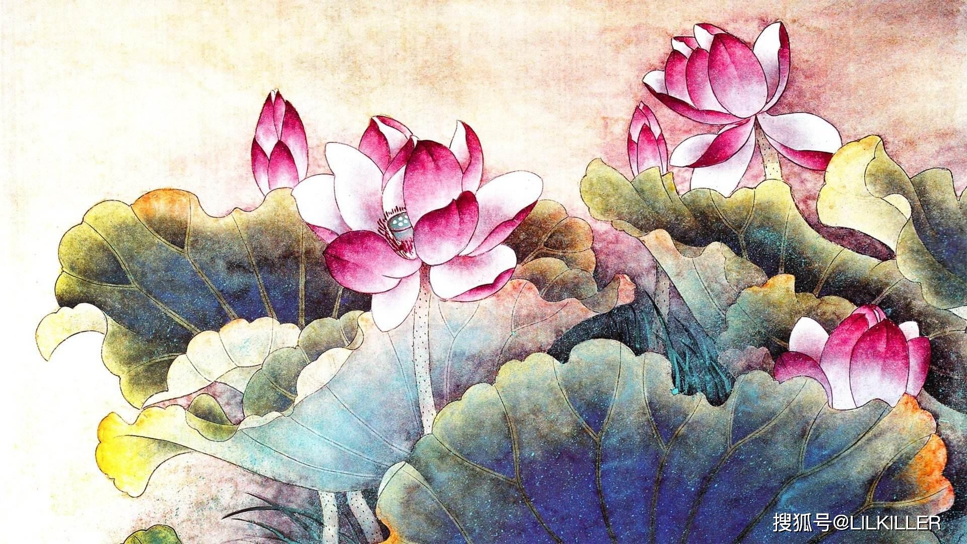 文质彬彬的生肖——兔插图