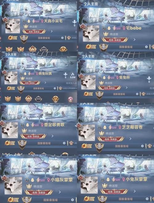 王者荣耀昵称大全，打造你的独特战场风采插图