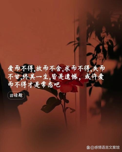 欲爱难休，爱情之美，亦需多维感悟插图