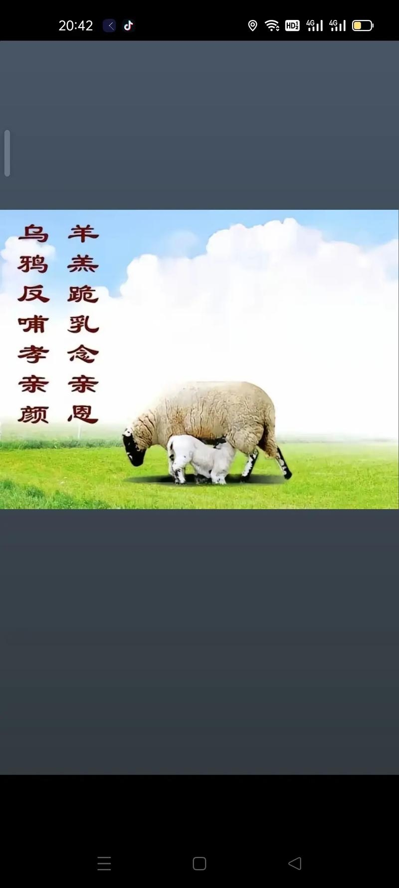 寸草春晖代表生肖羊，感恩母爱插图