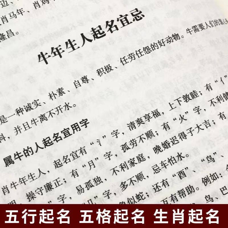 昵称大全20，含80种网名建议及微信命名插图