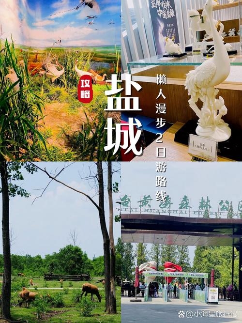 盐城交友，在美丽湿地中邂逅真挚情谊插图